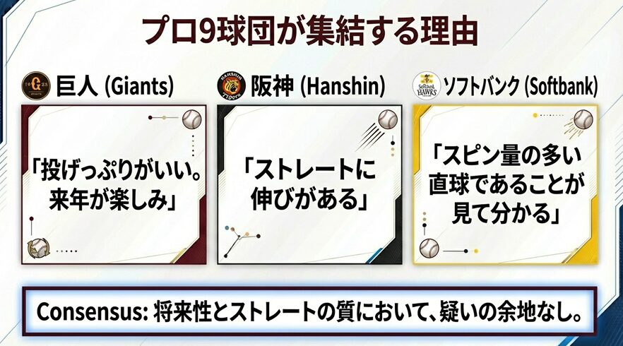 巨人、阪神、ソフトバンクなどのスカウト陣が語る将来性と直球の質への評価まとめ