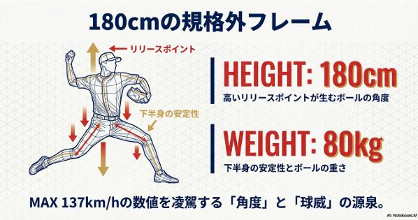 80cmの身長を活かした高いリリースポイントと下半身の安定性を示す図解