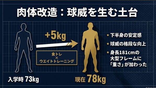 入学時の73kgから現在の78kgまで食トレとウエイトで増量した肉体改造の記録 。