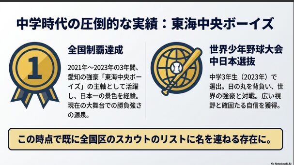 全国制覇や世界少年野球大会の中日本選抜選出を示すアイコンと実績