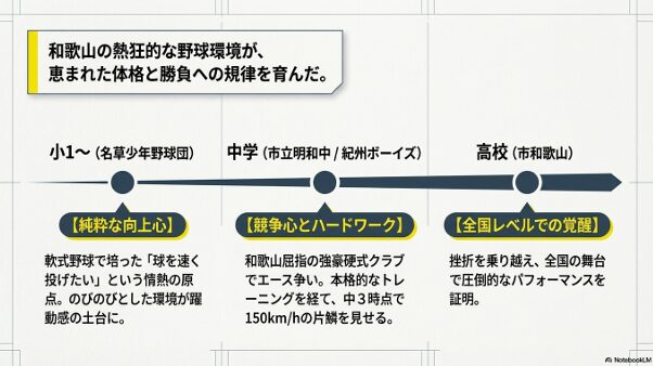 小学校での軟式野球から紀州ボーイズでの150km/hの片鱗、そして高校での覚醒までの歩みを示すキャリア図