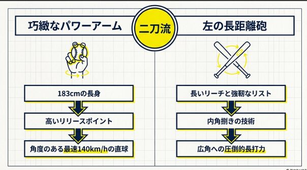 183cmの長身と長いリーチを活かし、最速140km/hの直球と広角への長打力を誇る二刀流の能力図解