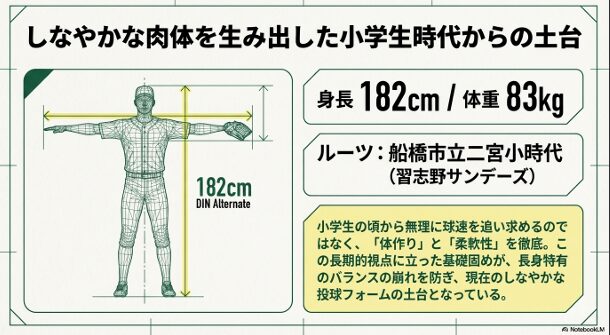 身長182cm、体重83kgの体格図と、習志野サンデーズ時代に徹底した体作りと柔軟性が現在の土台であることの解説