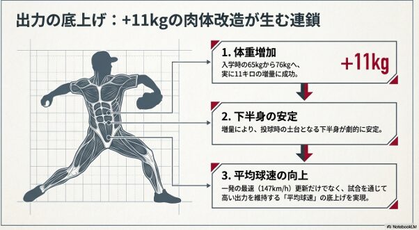 体重11キロ増量による下半身の安定と平均球速向上のメカニズム。