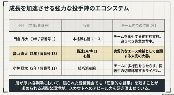 門倉昂大、畠山真大、小林冠太の3投手の役割とチーム内での位置づけ一覧表。