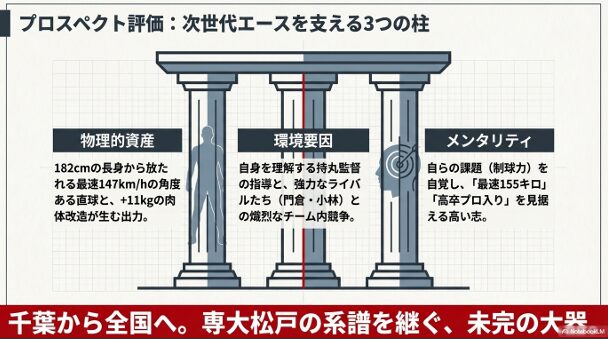 物理的資産、環境要因、メンタリティの3つの柱で構成された畠山選手の評価図。