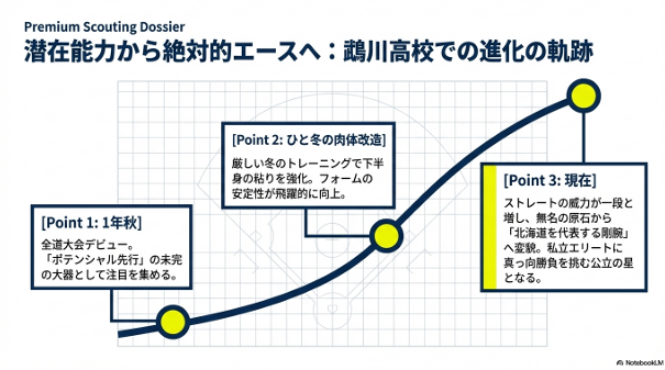 1年秋の全道大会デビューから、冬の肉体改造を経て「北海道を代表する剛腕」へと進化した過程を示すグラフ。