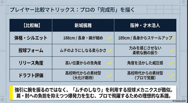 新城投手と阪神タイガース・才木浩人投手の比較表。体格、フォームの柔らかさ、リリース角度、ドラフト評価の共通点がまとめられています。