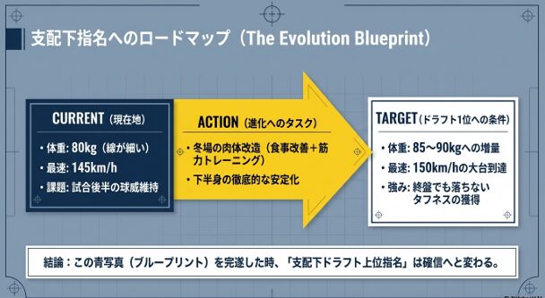 新城投手がドラフト上位指名を受けるためのロードマップ。体重85〜90kgへの増量や150km/h到達といった目標が記されています。