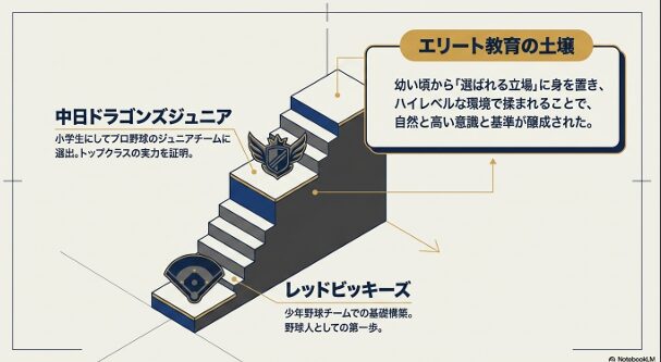 山田凜虎選手の野球人生の第一歩であるレッドビッキーズと中日ドラゴンズジュニア選出の経歴