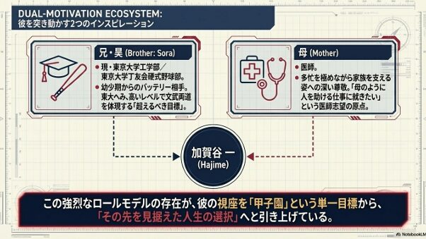 東大野球部の兄・昊さんと医師である母の2つのロールモデルが、加賀谷選手の高い視座を形成していることを示す概念図