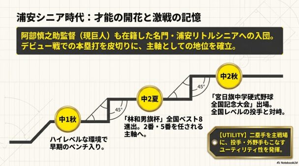 名門・浦安リトルシニアでの経歴。中2夏に全国ベスト8進出、投手・内野・外野をこなすユーティリティ性について記載されたスライド。