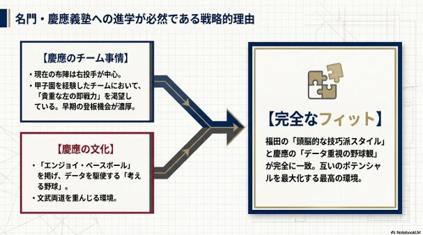 慶應義塾高校の「左腕不足」という事情と、福田選手の「データ重視の知略スタイル」が完全に一致していることを示す図