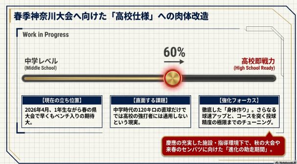 中学レベルから高校即戦力へのステップアップを示す進捗バー。身体作りと投球精度の極限までのチューニングを強化