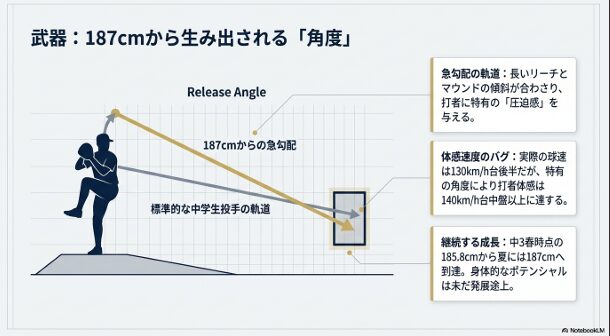 標準的な中学生投手と奥村太郎選手の投球軌道の違いを比較し、リリースポイントの高さによる圧迫感を解説した図