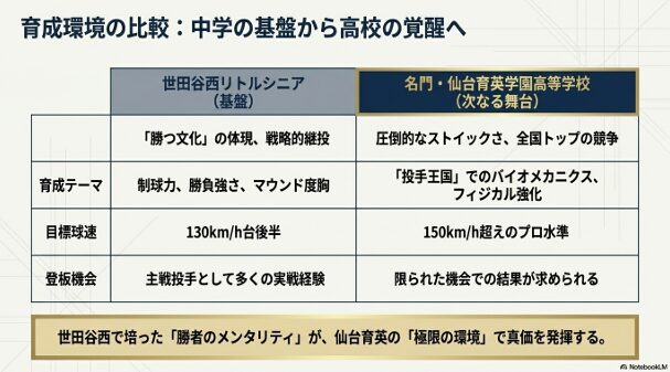 中学時代の制球力・度胸の養成から、高校でのバイオメカニクス・フィジカル強化へのステップアップを示す比較表