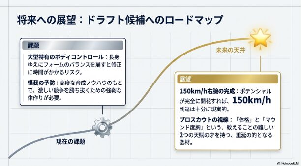 プロ級の骨格、勝者の思考、最高峰の環境の3軸で奥村太郎選手の将来性を総括したまとめスライド