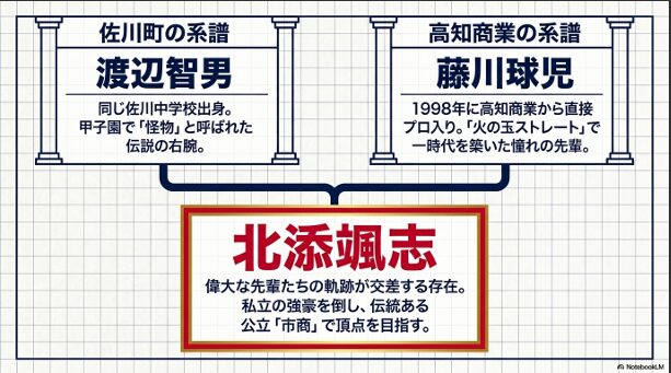 同じ佐川中学校出身の渡辺智男氏と、高知商業の先輩である藤川球児氏という、二人の伝説的右腕の軌跡が交差する存在として北添投手を紹介する図
