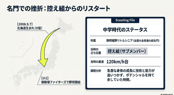 渡辺大地投手のポテンシャルを「Physical」「Mechanics」「Mental」「Heritage」の4項目で分析したレーダーチャート図。