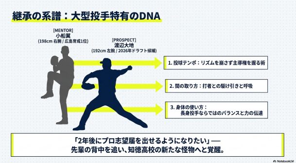 198cmの右腕・小船翼投手から192cmの左腕・渡辺大地投手へ受け継がれた、投球テンポや間の取り方、身体の使い方の3つのポイント。