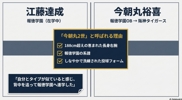 報徳学園OBで現・阪神タイガースの今朝丸裕喜投手と在学中の江藤達成投手の比較。「今朝丸2世」と呼ばれる理由として、188cm超えの長身右腕、しなやかで洗練された投球フォーム、タイプが似ている先輩の背中を追って進学した経緯を解説するスライド画像。