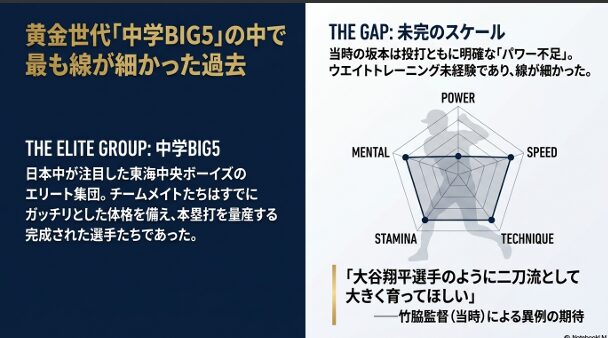 中学BIG5の中で最も線が細くパワー不足だった当時の坂本選手のレーダーチャート